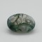 Tree Agate  6.68 Ct Gem Quality